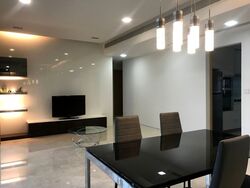 Rhapsody On Mount Elizabeth (D9), Apartment #389466181